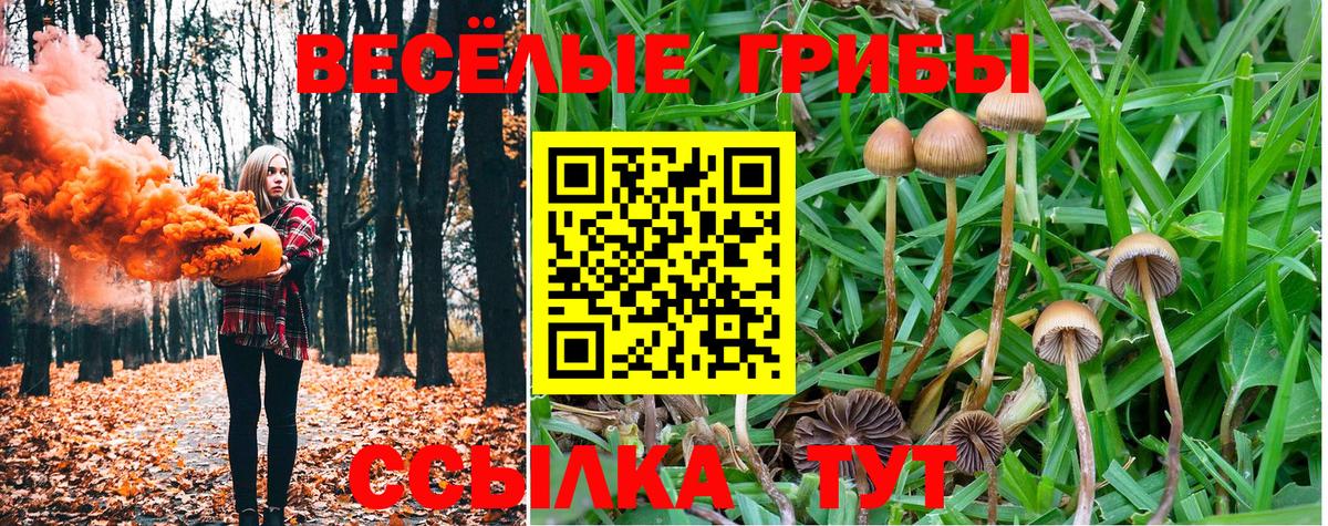 Таганрог  Псилоцибиновые грибы мухоморы  Галлюциногенные грибы Psilocybine cubensis  Вход с VPN 